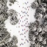 Skifahrer sausen in ihrer bunten Kleidung entlang der von schneebedeckten Bäumen umgebenen Piste