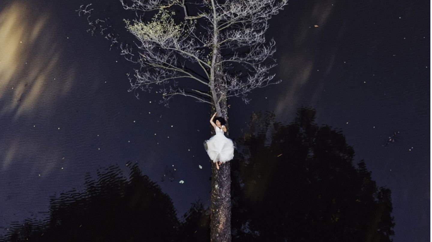 Die Wirkung der Sonne auf dem Wasser, ein gefällter Baum und eine tapfere Braut, die darauf liegt