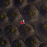 Ein Brautpaar in einem Weinanbaugebiet