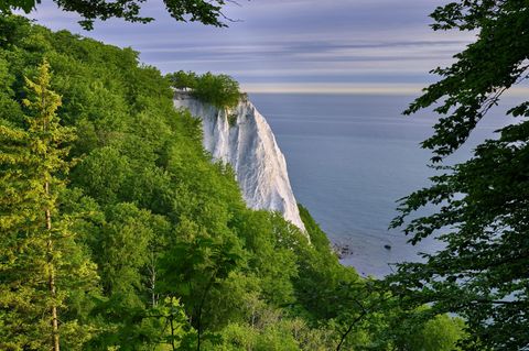Kreidefelsen auf Rügen