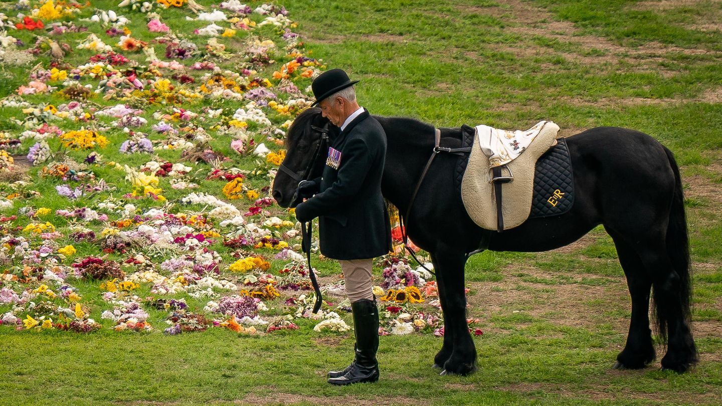 Emma, das Lieblings-Pony der Queen, steht bei der feierlichen Prozession mit dem Sarg von Königin Elizabeth II. auf dem Gelände von Schloss Windsor neben einem Blumenmeer. In einer Seitenkapelle der St.-Georges-Kapelle auf dem weitläufigen Schlossgelände soll die Queen nach einem Aussegnungsgottesdienst ihre letzte Ruhestätte finden.