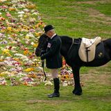 Emma, das Lieblings-Pony der Queen, steht bei der feierlichen Prozession mit dem Sarg von Königin Elizabeth II. auf dem Gelände von Schloss Windsor neben einem Blumenmeer. In einer Seitenkapelle der St.-Georges-Kapelle auf dem weitläufigen Schlossgelände soll die Queen nach einem Aussegnungsgottesdienst ihre letzte Ruhestätte finden.