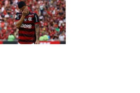 Joao Gomes