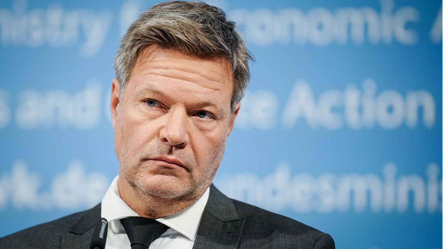 Robert Habeck hat zur Gasumlage Stellung bezogen
