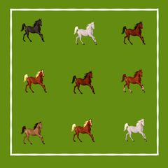 Pferde auf der Weide: Dieses Rätsel müssen Job-Bewerber aus dem IT-Bereich lösen