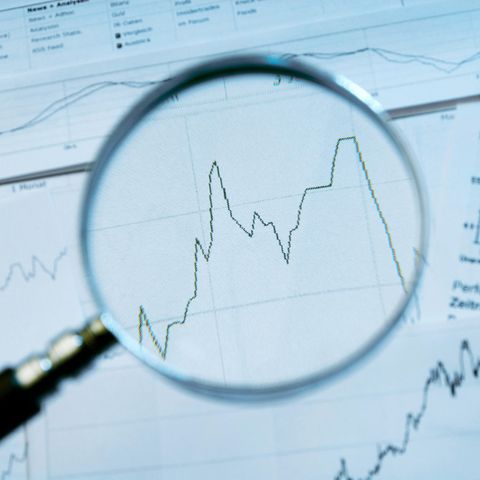 Lupe sucht nach Aktien fürs Leben