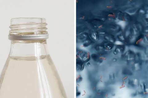 Fader Geschmack, schlechter Geruch: Werden angebrochene Wasserflaschen schlecht?