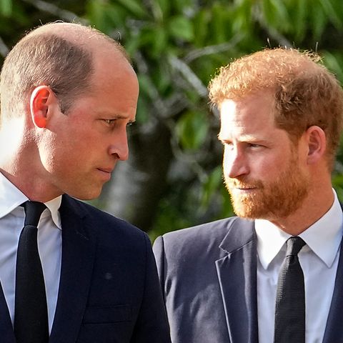 Prince William and his brother Prince Harry tore on straps for the funeral of Queen Elizabeth II and completed events together.
