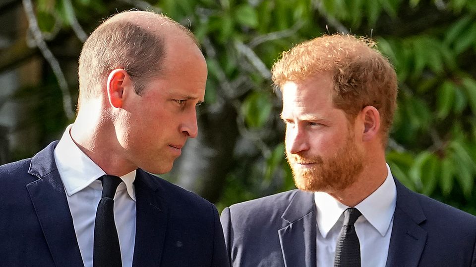 Für die Trauerfeierlichkeiten von Queen Elizabeth II. rissen sich Prinz William und sein Bruder Prinz Harry am Riemen und absolvierten gemeinsam Veranstaltungen.