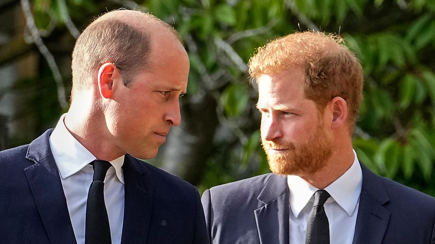 For Queen Elizabeth II's funeral ceremonies, Prince William and his brother Prince Harry pulled together and held events together.