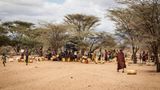 Große Versammlung an einem der wenigen Bohrlöcher mit Tank nahe Lokichar / Turkana: Die Frau rechts zieht ihren Kanister an Drähten hinter sich her, eine Erfindung der Region. Doch das funktioniert nur auf ebenen Flächen.