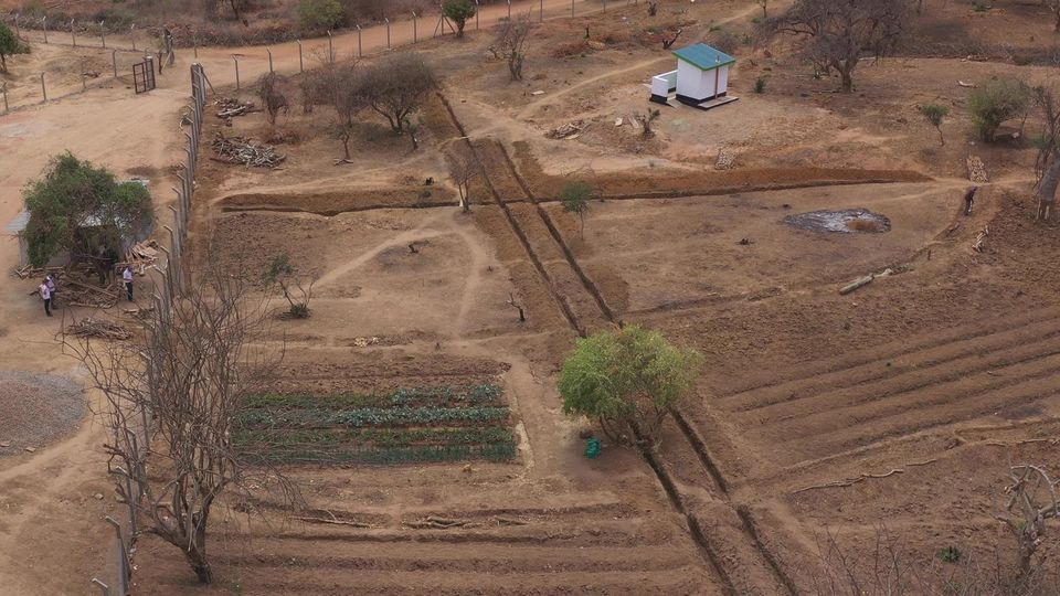 Update Kinakoni: Das erste Grün: Auf dem Versuchsfeld von Kinakoni wachsen die ersten Pflanzen heran. In den kommenden Monaten versuchen Agrarfoscher hier herauszufinden, welchen Nutzpflanzen unter den Bedingungen des Klimawandels in Kinakoni am besten gedeihen Das erste Grün: Auf dem Versuchsfeld von Kinakoni wachsen die ersten Pflanzen heran. In den kommenden Monaten versuchen Agrarfoscher hier herauszufinden, welchen Nutzpflanzen unter den Bedingungen des Klimawandels in Kinakoni am besten gedeihen