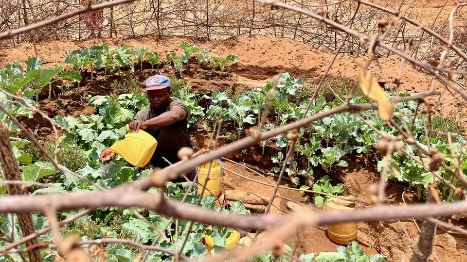 Peter Mulwa, einer der Bauern von Kinakoni, wässert das kleine Feld, das er um sein Wasserloch angelegt hat