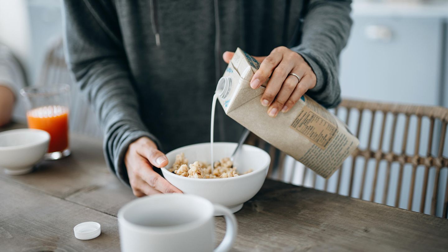 Hafermilch und Co. – wie gesund sind die Pflanzendrinks im
