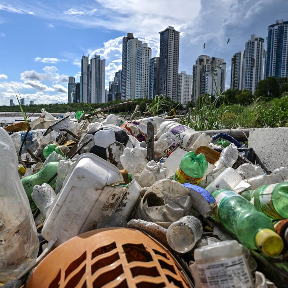 Plastikmüll an der Costa del Este