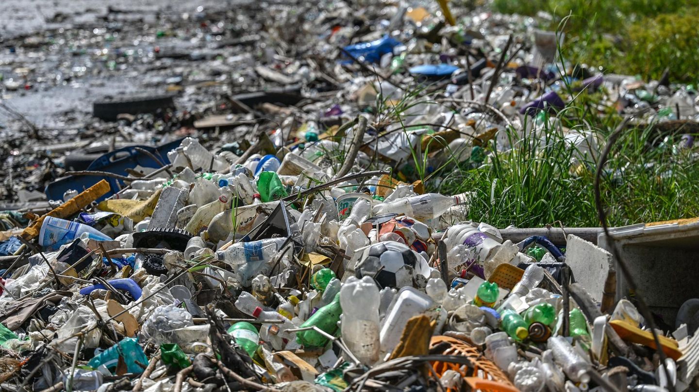 Angespülter Plastikmüll