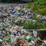 Angespülter Plastikmüll