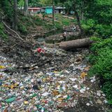 Mocambo-Fluss in Panama mit Müll verschmutzt