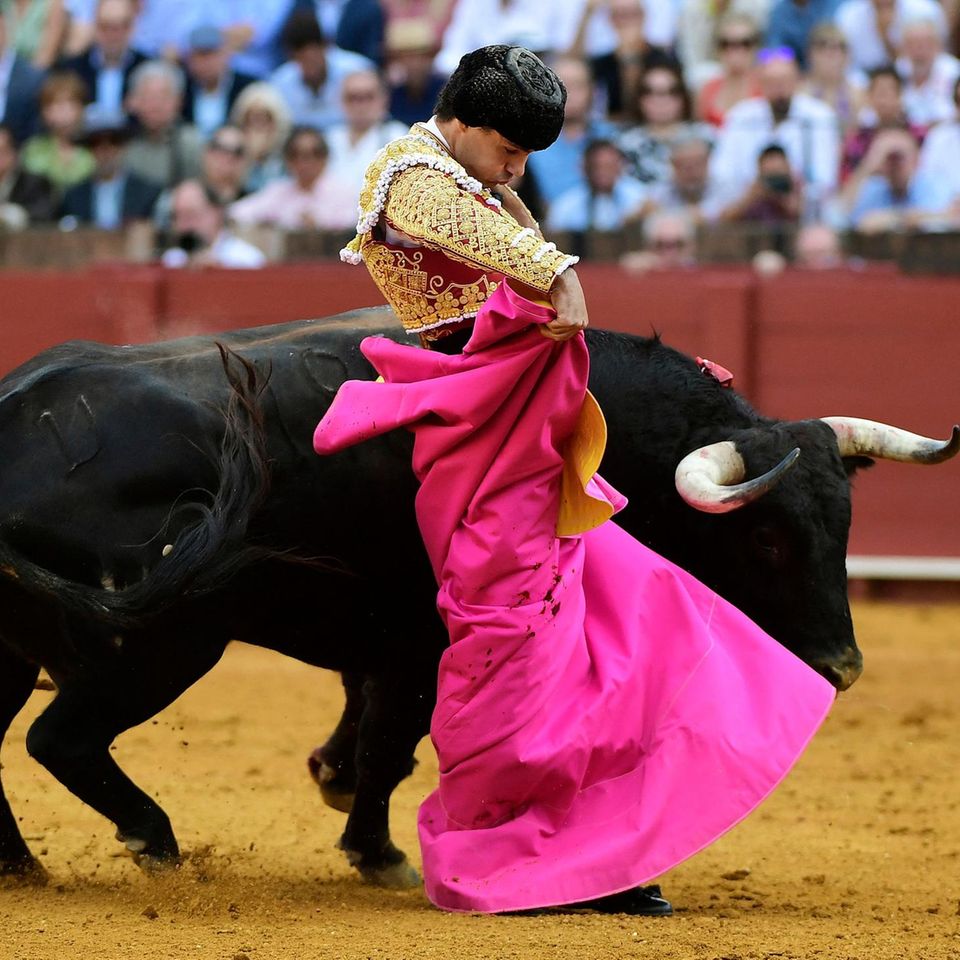 Sevilla, Spanien. Ein Stierkämpfer schwingt ein eher pinkes, denn rotes Tuch für den Bullen in einer Arena. Das Spektakel ist Teil der Feria de San Miguel.
