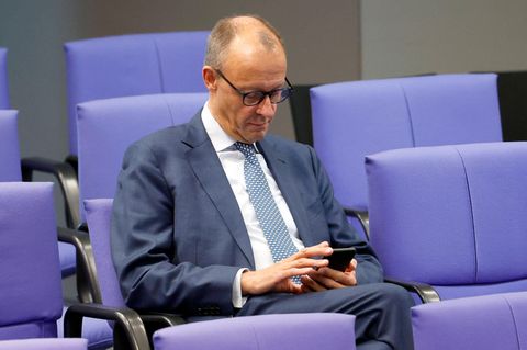 Friedrich Merz im Bundestag