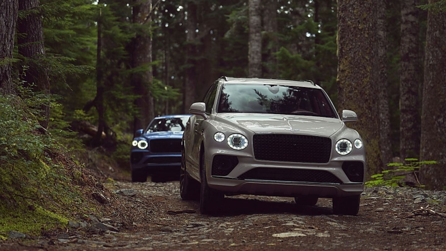 Driving report: Bentley Bentayga EWB: Drive and be driven