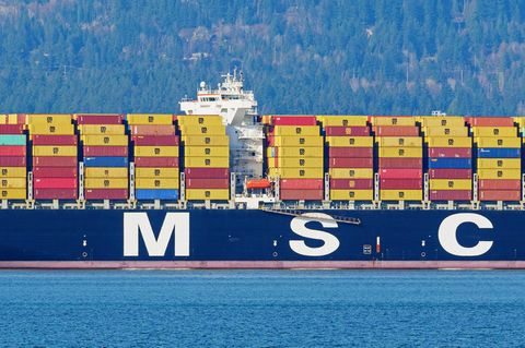 Conatainerschiff "MSC Sonia"