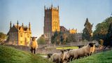 Ein Schloss in Großbritannien, vor dem eine Herde Schafe grast.