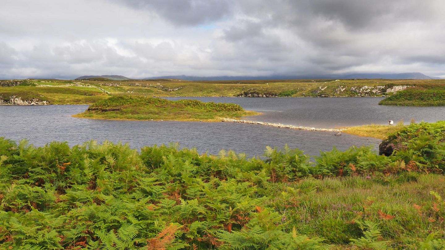 Crannog in Irland
