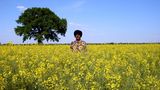 Für den Film "Schwarz auf Weiß - eine Reise durch Deutschland" schlüpfte Wallraff 2009 sogar in die Rolle eines Somaliers mit schwarzer Hautfarbe. Die Verwandlung war nicht unumstritten: Obwohl es Wallraff darum ging, Rassismus aufzuzeigen, wurde die Aktion selbst von einigen auch als rassistisch kritisiert.
