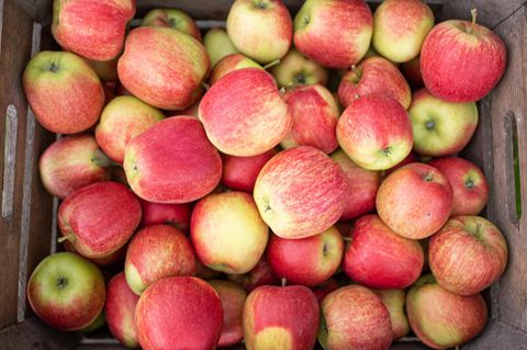 Sehen Sie im Video, welches Obst immer noch günstig ist.