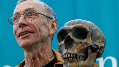 Neandertaler-DNA entschlüsselt: Forscher vom Max-Planck-Institut erhält den Medizin-Nobelpreis