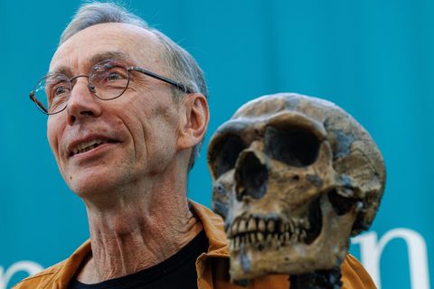 Neandertaler-DNA entschlüsselt: Forscher vom Max-Planck-Institut erhält den Medizin-Nobelpreis