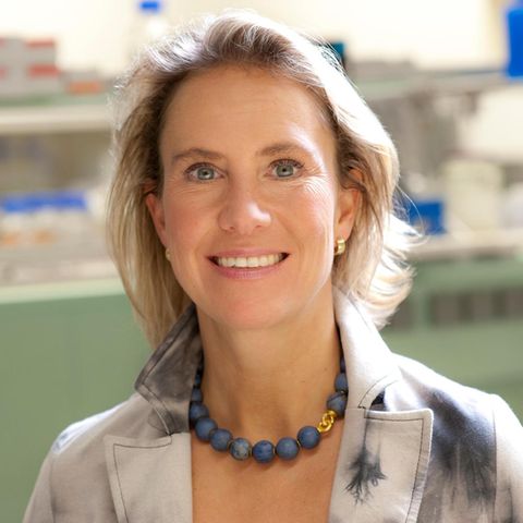 Prof. Dr. Christine Falk Porträt