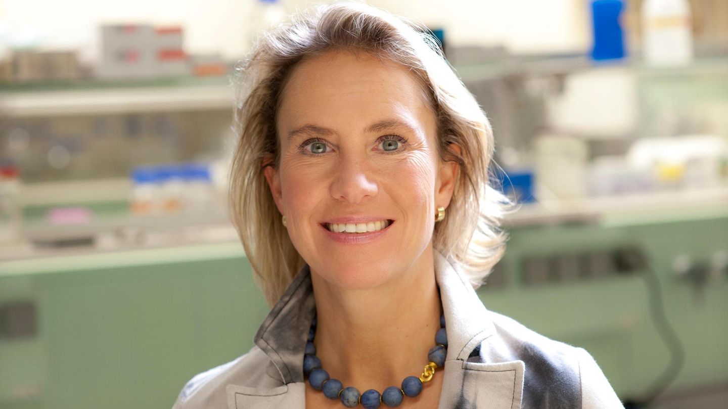 Prof. Dr. Christine Falk Porträt