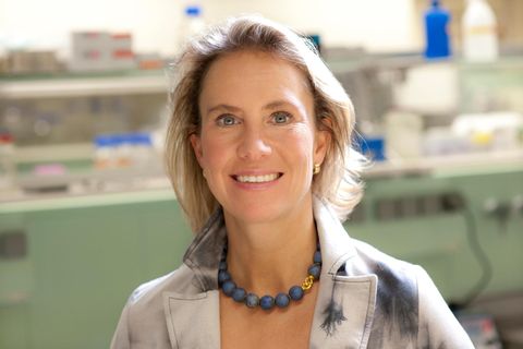 Prof. Dr. Christine Falk Porträt