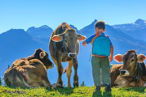 Wandern in den Bergen