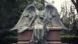 Dieser Engel mit besonders großen Flügeln sitzt auf einem Steinsarg auf dem Melatenfriedhof von Köln.