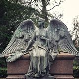Dieser Engel mit besonders großen Flügeln sitzt auf einem Steinsarg auf dem Melatenfriedhof von Köln.