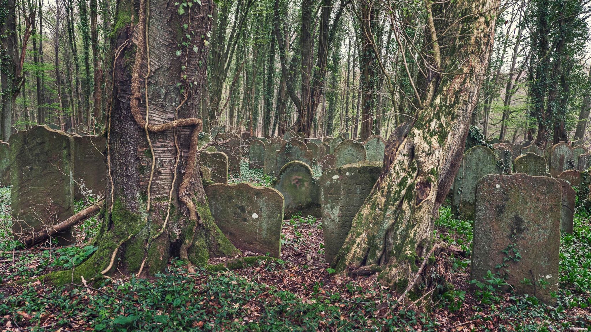 Memento Sven Fennema fotografiert verwunschene Friedhöfe STERN.de
