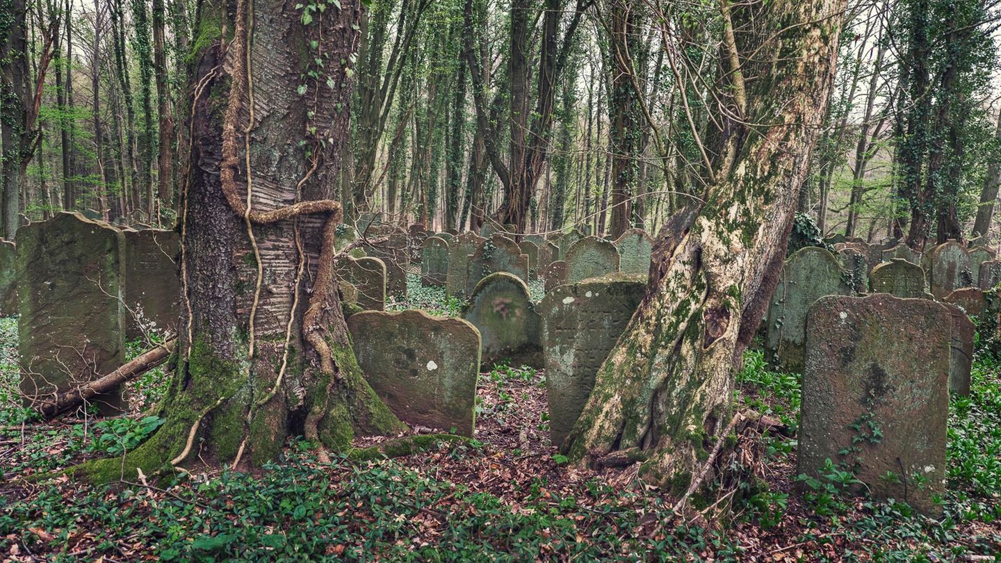 Jüdische Friedhof von Waibstadt