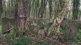 Jüdische Friedhof von Waibstadt