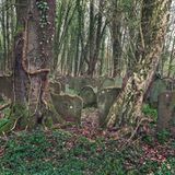 Jüdische Friedhof von Waibstadt