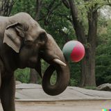 Ein Elefant, der im Central Park mit Bällen spielt? So könnte es aussehen.  Die Bildbeschreibung: "A photo of an elephant playing with balls in the central park, new york, high quality"
