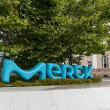 Platz 4: Familie Merck, 31,5 Milliarden Euro  Der traditionsreiche Chemie- und Pharmakonzern Merck macht den verzweigten Industriellen-Clan bis heute zu einer der reichsten Familien Deutshclands. Als Clanchef beziehungsweise Vorsitzender des Gesellschafterrats fungiert Frank Stangenberg-Haverkamp (74), der das Amt aus Altersgründen im kommenden Jahr an die nächste Generation weitergeben wird.