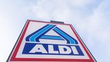Platz 8: Familie Theo Albrecht junior und Familie Babette Albrecht, 19,2 Milliarden Euro  Den Aldi-Nord-Clan erschüttern nach dem Tod von Firmengründer Theo Albrecht (2010) schwere juristische Erbstreitigkeiten. Im Mittelpunkt stehen die Familien von Gründersohn Theo Albrecht junior und seiner Schwägerin Babette Albrecht. Es geht um ein kompliziertes Geflecht aus Stiftungen und die Frage, wer sich was auszahlen lassen darf.