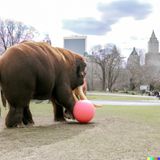 Wie anpassungsfähig die KI ist, zeigt dieses Bild: Den Elefanten haben wir in der Beschreibung einfach durch ein Mammut ersetzt.  Die Bildbeschreibung: "A photo of a wooly mammoth playing with balls in the central park, new york, high quality"