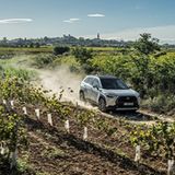 Feldwege sind beim Toyota Corolla Cross gerade noch im Offroad-Portfolio