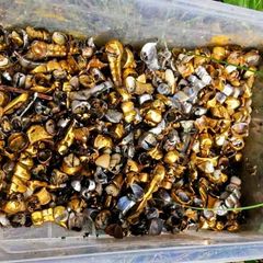 Ukraine: Kiste mit Goldzähnen soll aus russischem Folterkeller stammen – was es mit dem Foto auf sich hat