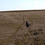 Minenräumer im Weizenfeld