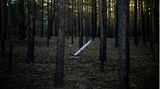 Nicht explodierte Rakete m Wald